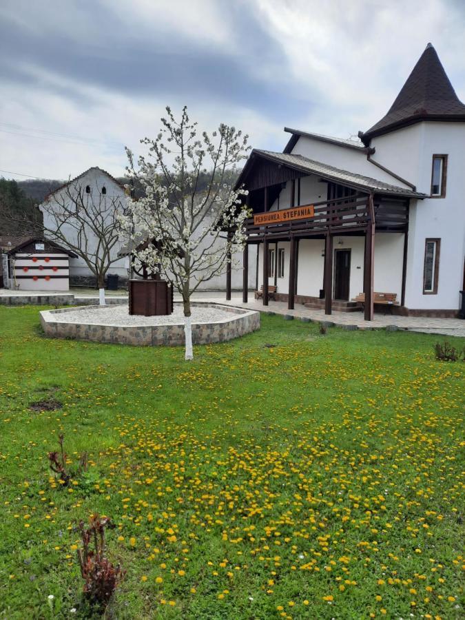 Pensiune Stefania Hunedoara Bagian luar foto